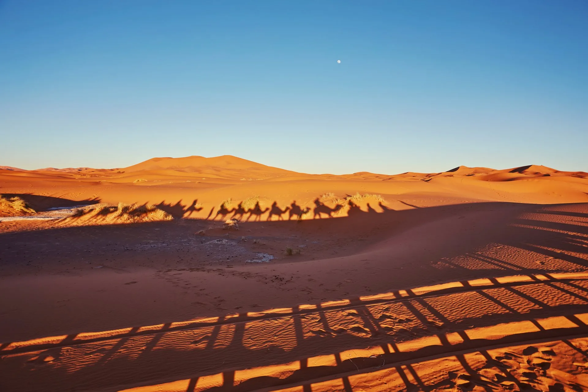 Sahara Erg Chebbi dunes Merzouga golden hour