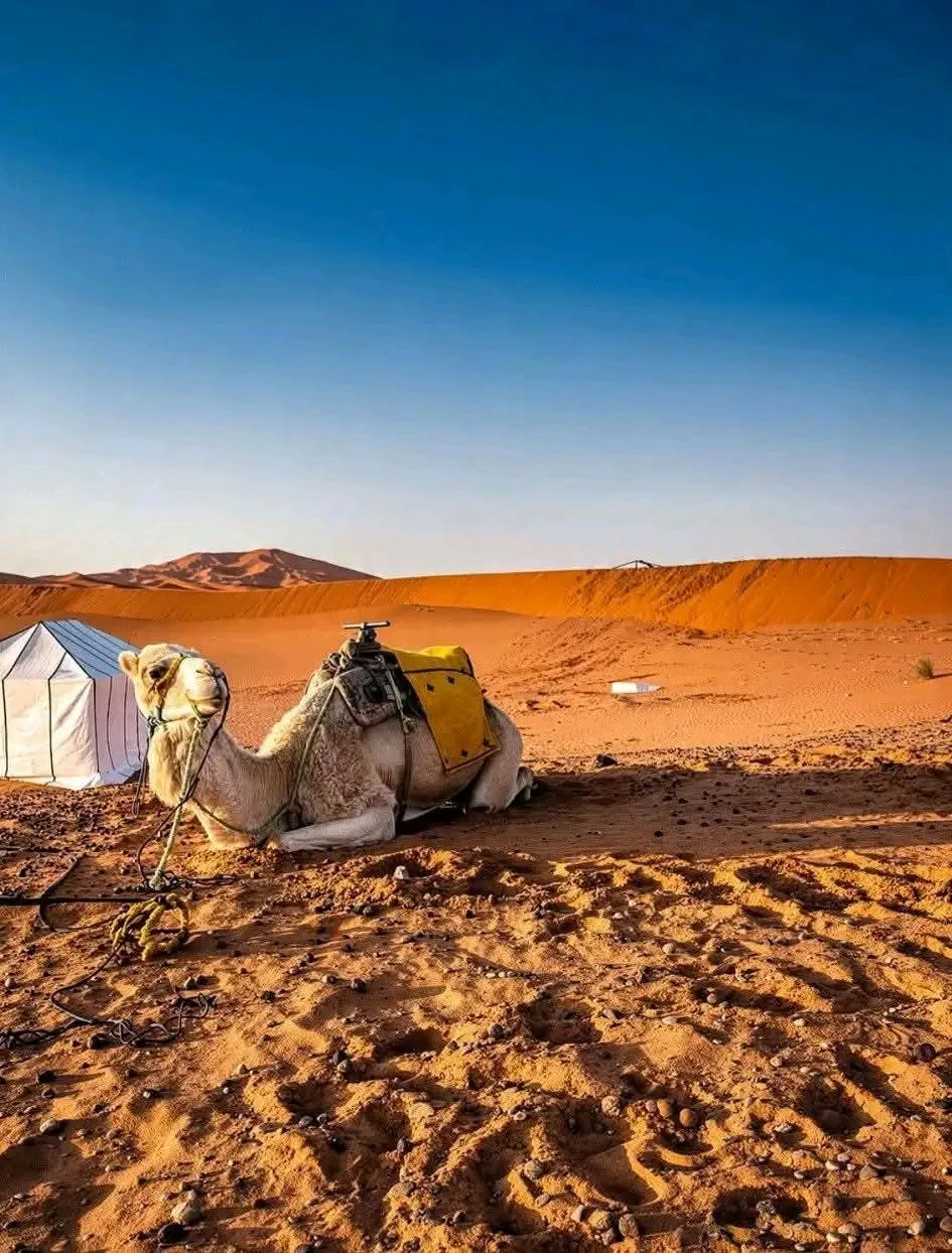 Merzouga Desert Classic 2 days