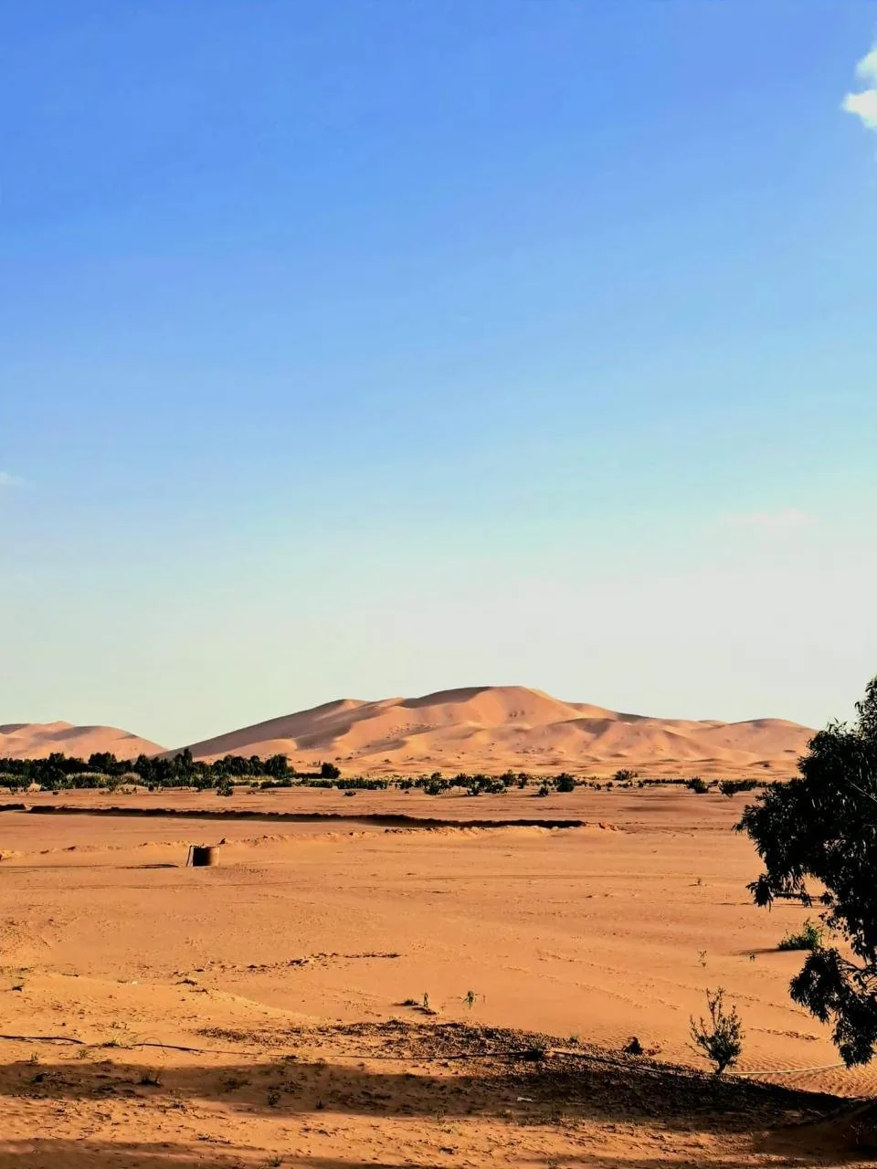 Panoramic view of Erg Chebbi dunes