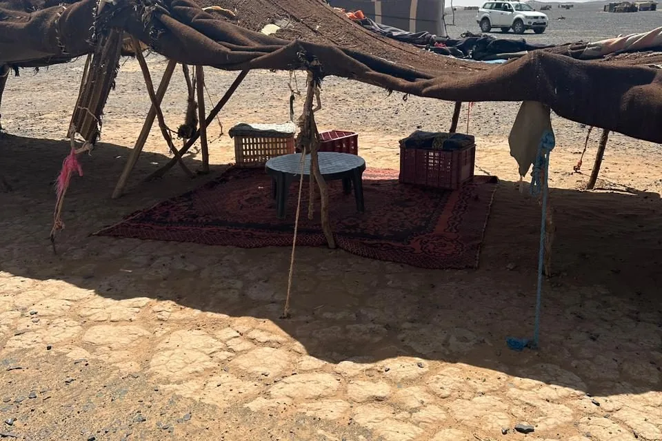 Nomades, Khamlia & Fossiles