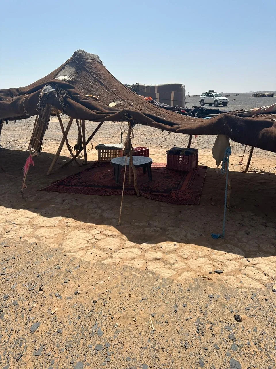 Authentic Berber nomad tent in the Sahara